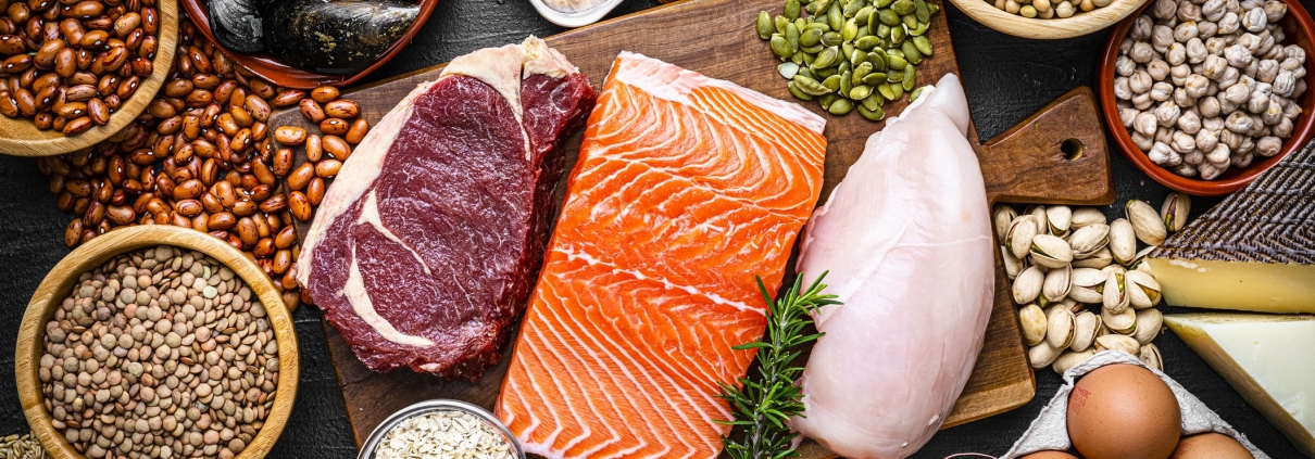 proteinin önemi